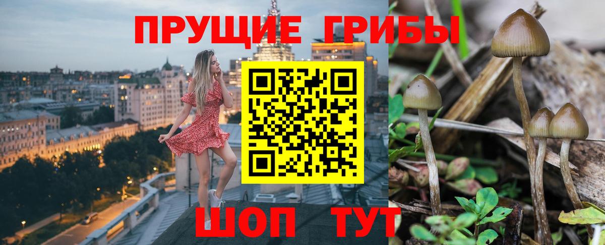 Апатиты  Галлюциногенные грибы мухоморы  Галлюциногенные грибы мухоморы  Вход с VPN 